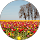 sixten roos profile picture